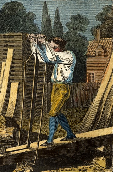 Sawyers cutting wood