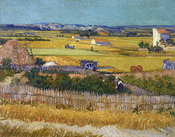 Van Gogh, The Harvest