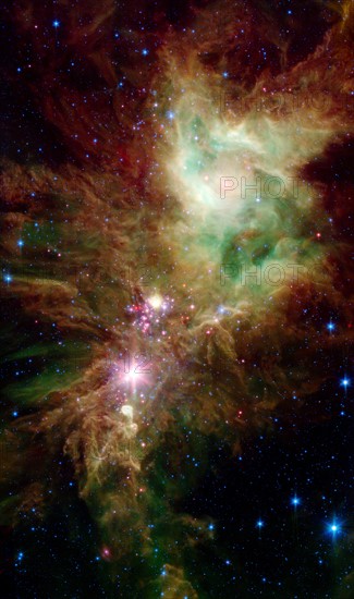 Newborn stars