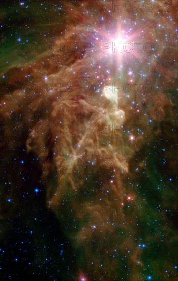 Newborn stars