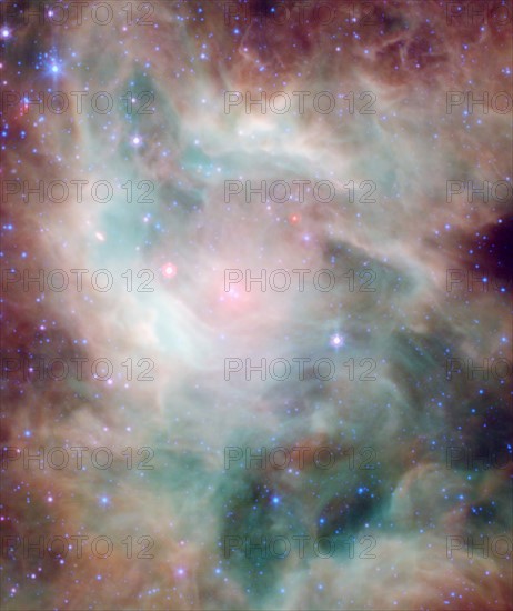 Newborn stars