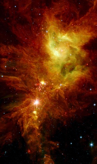 Newborn stars