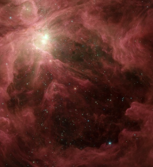 The Orion nebula