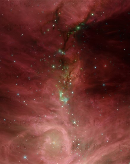 The Orion nebula