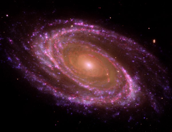 The spiral galaxy known as Messier 81