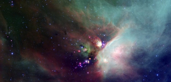 Dynamic image of the Rho Ophiuchi dark cloud