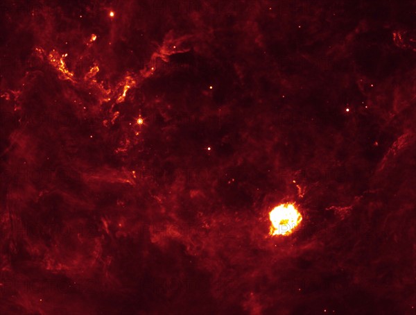 The Cassiopeia