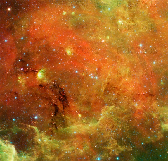 The North America nebula