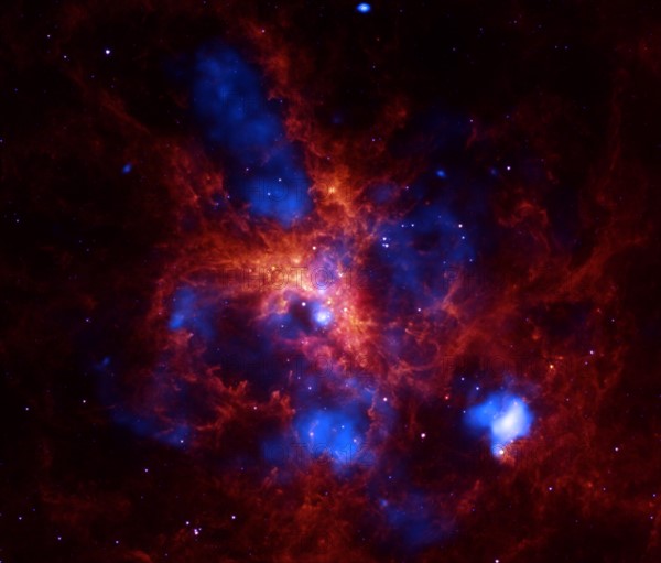 The star-forming region, 30 Doradus, is one of the largest located close to the Milky Way and is found in the neighboring galaxy Large Magellanic Cloud. Spitzer.