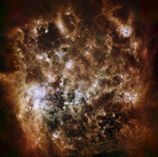 The Large Magellanic Cloud galaxy