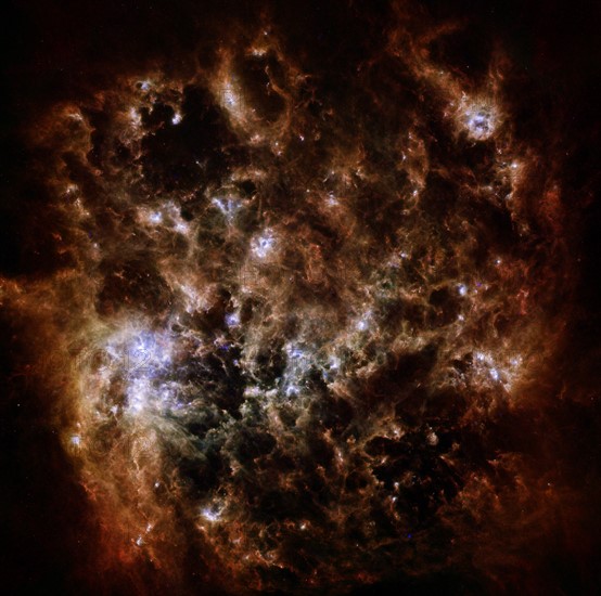 The Large Magellanic Cloud galaxy