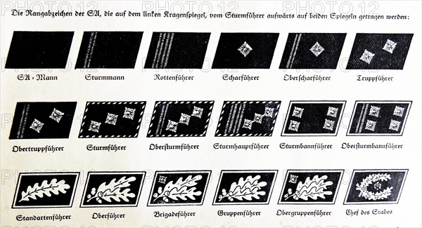 Rank insignia in the Nazi Party, 1934