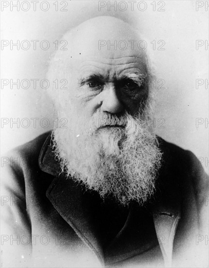 Portrait of Charles Darwin