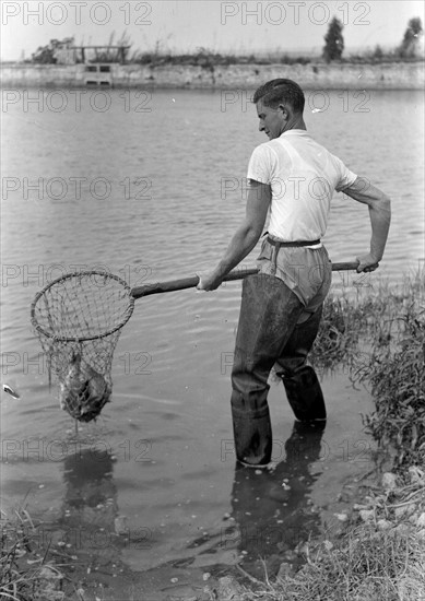 Jewish fish farmer at Tel Karaneh Springs near Acre.