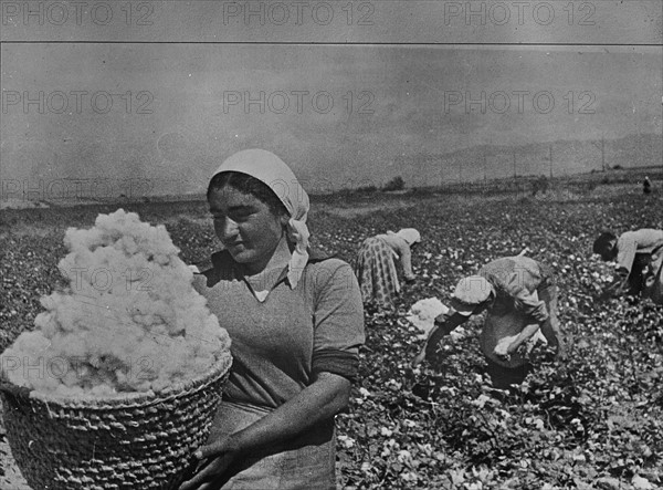 Cotton picking in Armenia between 1930 and 1940