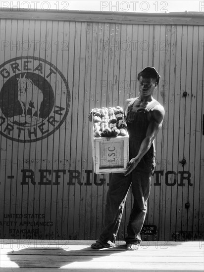 Migrant shed worker, 1938