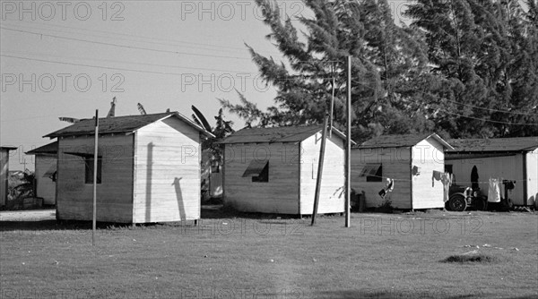 A migrant packinghouse worker shaving. Deerfield Florida 19370101