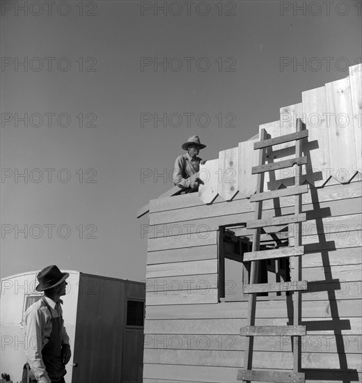 Father and son, recent migrants to California, building house in rapidly growing settlement of lettuce workers on fringe of town. Salinas, California 19380101