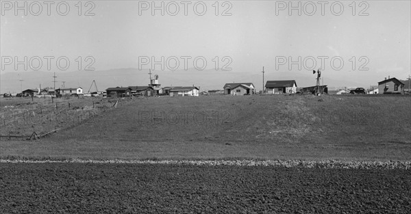 Shacks occupied by lettuce shed workers, 1939