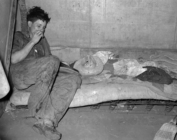 Son of white migrant worker near Harlingen, Texas. 19390101