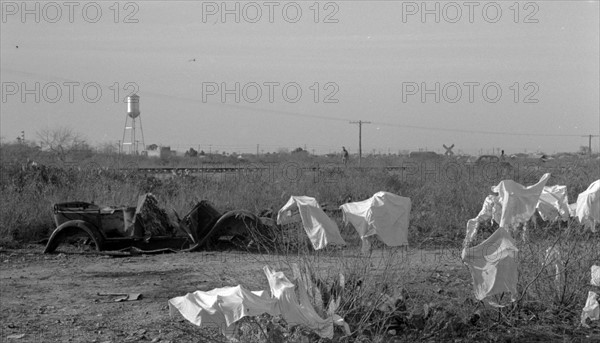Laundry of migrant workers drying on mesquite brush, Edinburg, Texas By Russell Lee, 1903-1986, dated 19390101 Feb.
