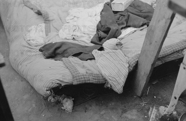 Bed of white migrant worker consisting of mattress on the ground near Harlingen, Texas by Russell Lee, 1903-1986, dated 19390101.