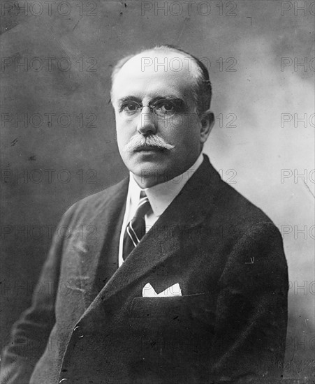 Portrait of the President of Peru, José Pardo y Barreda