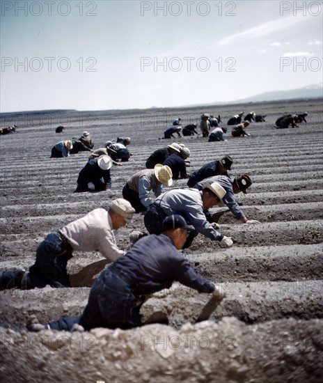 Japanese-American camp.