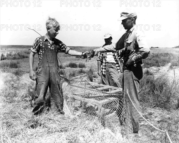 Two adult men with one younger boy working in field.