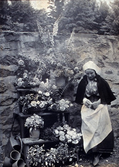 Dutch flower seller