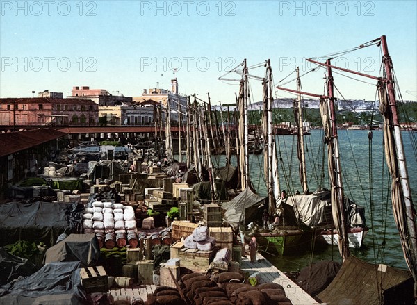 Photochrom print of Muelle San Francisco, Havana, Cuba