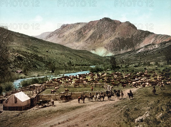 Photomechanical print of the ''round up'' on the Cimarron, Colorado