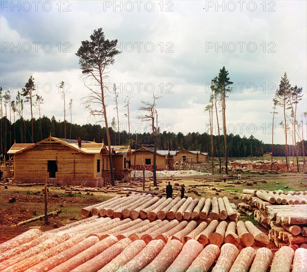 logs prepared for use in Tsarist Russian railroad construction