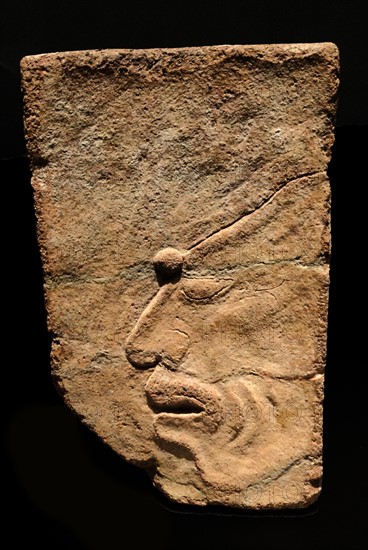 A captive is depicted in a Mayan relief from Tonina