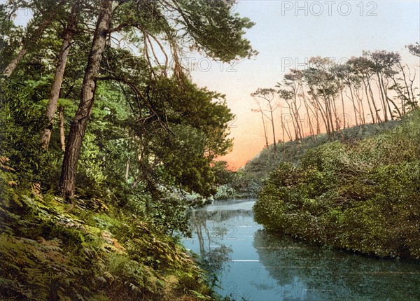 Branksome Chine, Bournemouth, England 1900 Coloured photochrom image