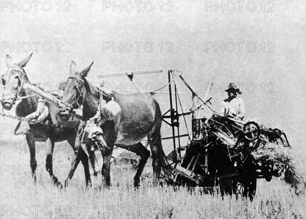 Spanish farm workers in the countryside in 1936