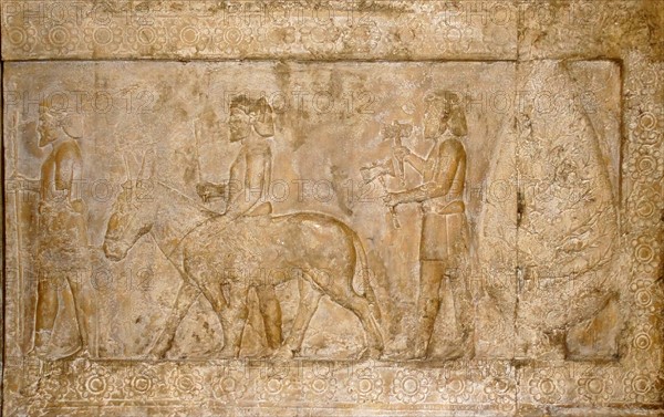 Reliefs from the Palace of Persepolis