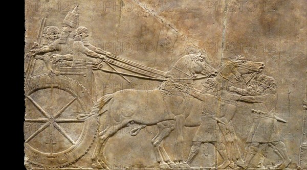 Relief depicting The royal lion hunt. Assyrian, about 645-635 BC From Nineveh