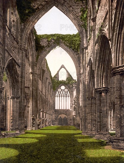 Tintern Abbey