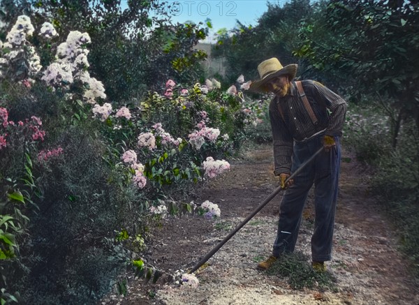 Fennimore, James Stetson Metcalfe house. Portrait of gardener