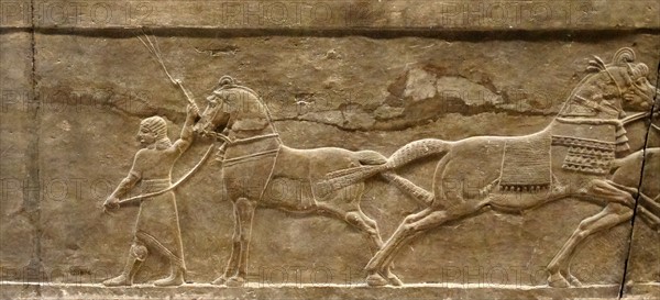 Hunting gazelle. Assyrian, about 645-635 BC From Nineveh