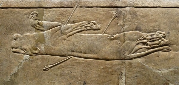 The royal lion hunt, Assyrian, about 645-635 BC From Nineveh. North Palace, Iraq