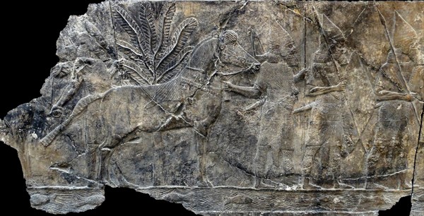 Wall frieze depicting Campaign against the town of -alammu. Assyrian, about 700-692 BC From Nineveh, Iraq.