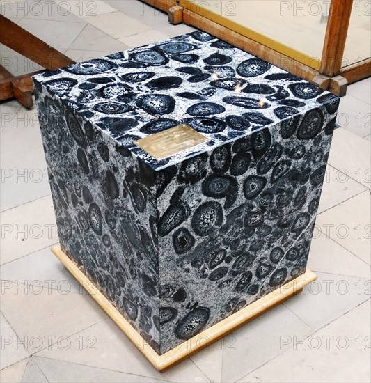 Orbicular granite