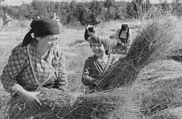 Photograph of Harvest time at a collective farm in the USSR