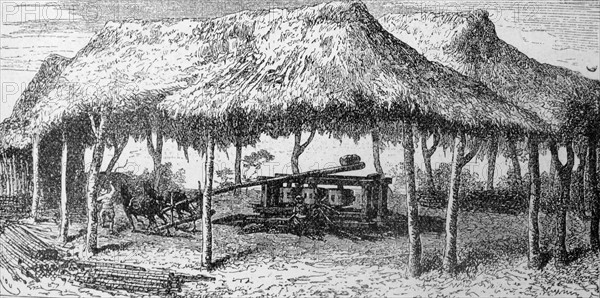 Spanish colonial mill for grinding corn, Mexico 1850