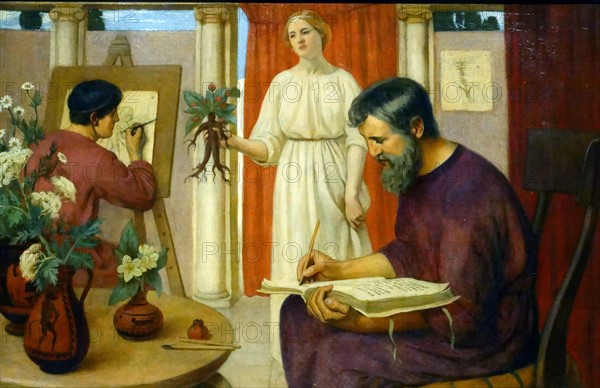 Dioscorides Describing the Mandrake' by Ernest Board