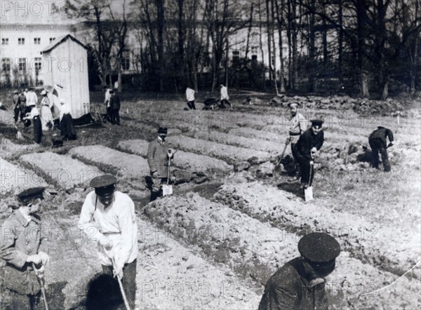 Photograph of the late Czar and his family working in garden