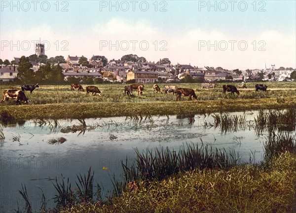 Banks of the River Frome