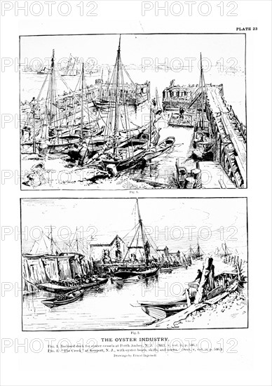 Drawings by Ernest Ingersoll